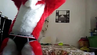 Twink Porn 1